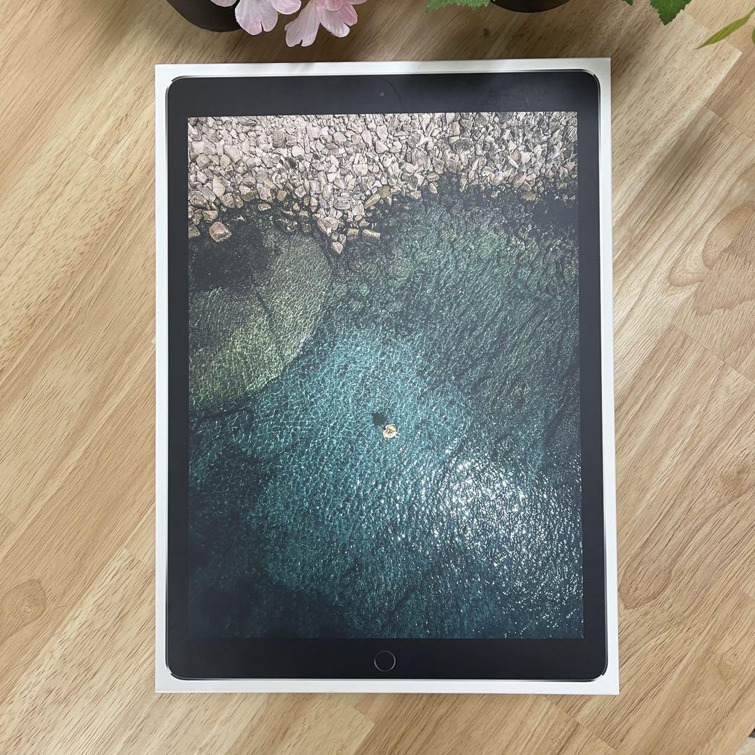 中古 iPadPro第2世代12.9インチ256GB WiFi版MP6G2J/A