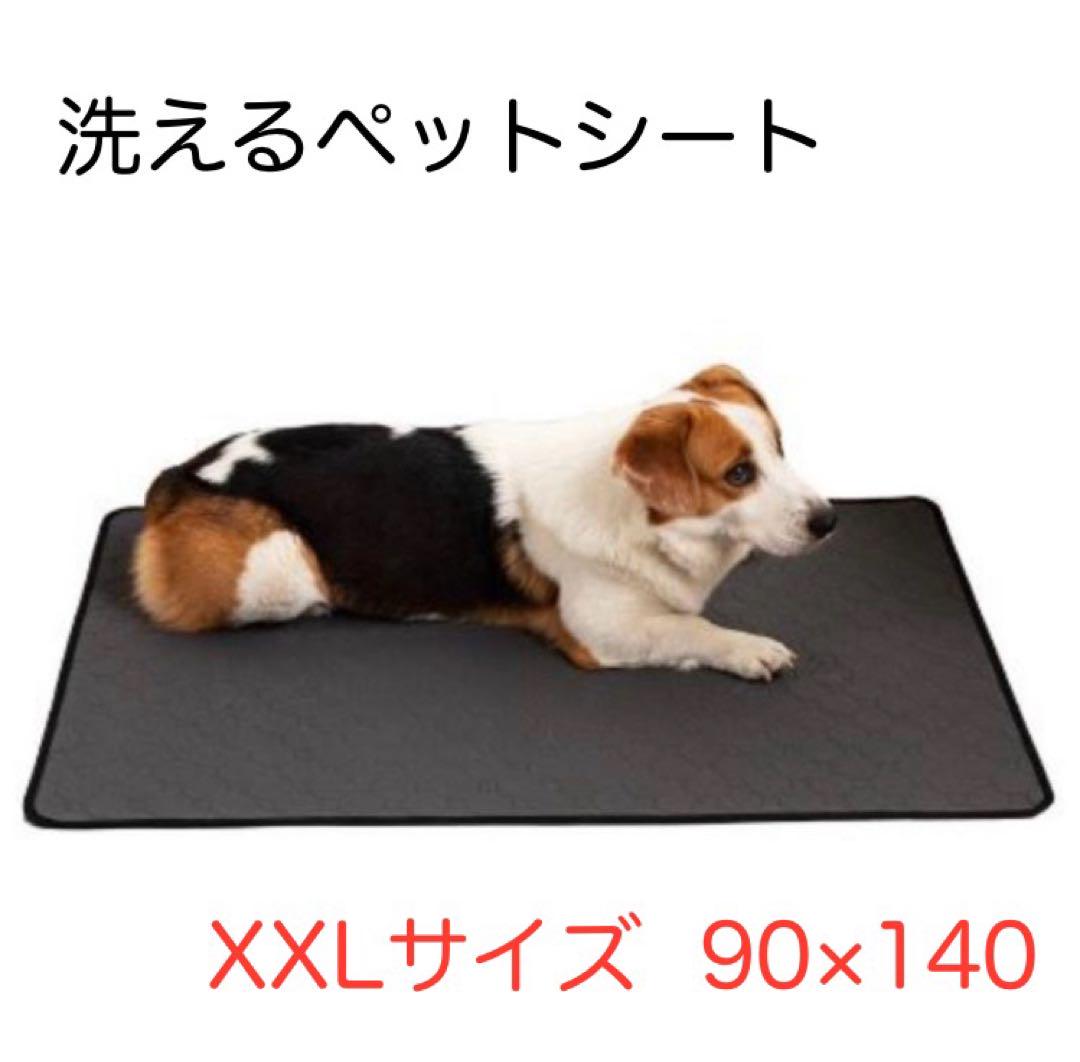 ペットシーツ 洗える 超大判 安い XXL 犬猫 トイレシート マット 繰り返し