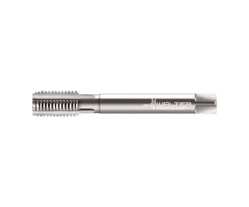 ワルタージャパン プロトティップ マシンタップ 21368-M22X1.5 