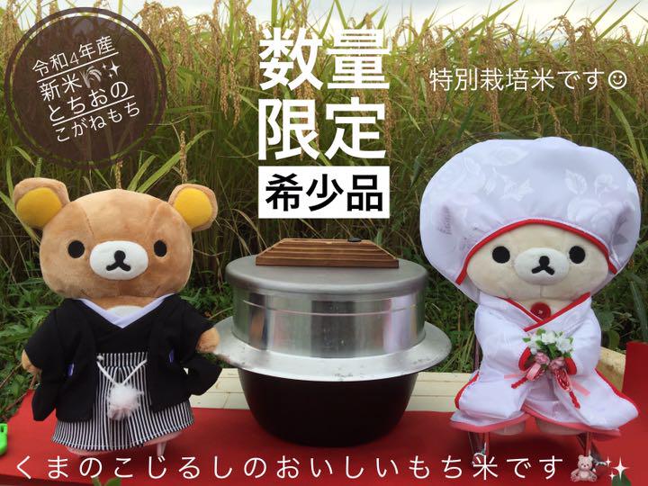 送料無料 ギフト 令和4年産農家力作新米新潟とちおこがねもち玄米5kgぴかぴか 米・雑穀・粉類