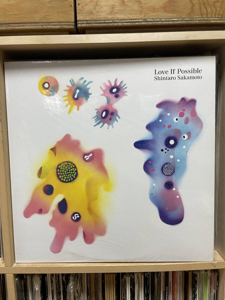 再入荷商品 坂本慎太郎 / できれば愛を オリジナル日本盤 LP 邦楽