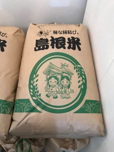 楽天市場】【愛知こしひかり】 【6年産】 玄米30kg 白米27kg