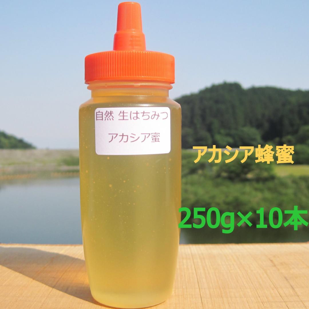 公式通販 - 人気アイテム多数 ❇️アカシア蜂蜜10本 国産 生はちみつ 非加熱ハチミツ その他