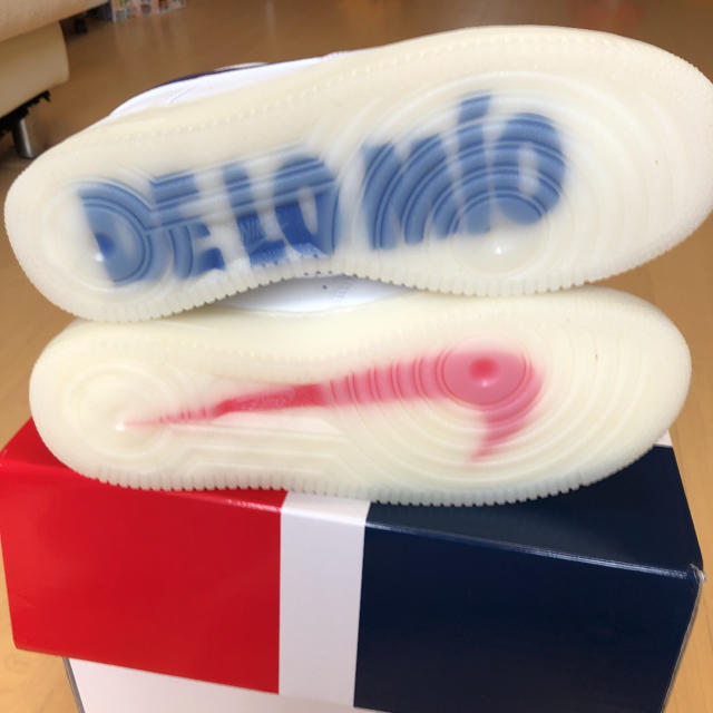 エアフォース 1デロミオ AIR FORCE1De Lo Mio 日本未発売 エアフォース 1デロミオ AIR FORCE1De Lo Mio 日本未発売